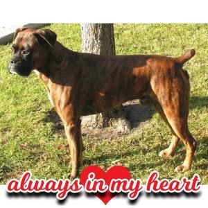 Meet your Posher, Vicki